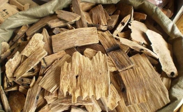 它是木材中的 贵族 价值胜黄金 中医用它行气止痛 温中平喘 快资讯