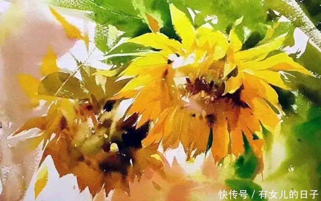 韩国花后金英善向日葵水彩画作品赏析 收藏级 快资讯
