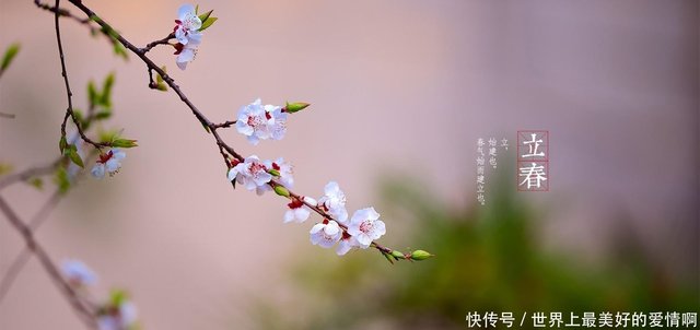 苏轼最多情的婉约词作 两句宋词极其缠绵 连柳永都甘拜下风 快资讯 苏轼最多情的婉约词作 两句宋词极其缠绵 连柳永都甘拜下风 快资讯