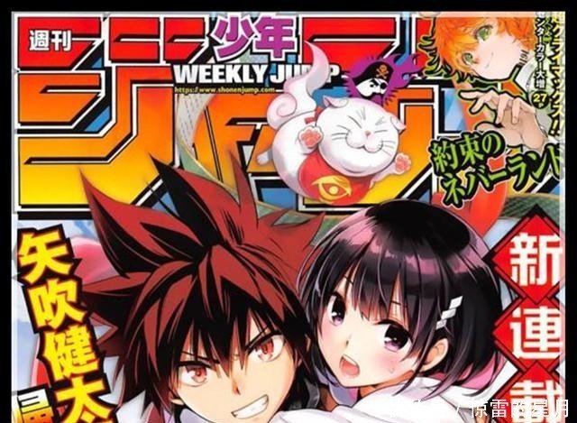 集英社漫画新连载新的降妖忍者诞生 男主角被猫妖变为忍者少女 快资讯 集英社漫画新连载新的降妖忍者诞生 男主角被猫妖变为忍者少女 快资讯