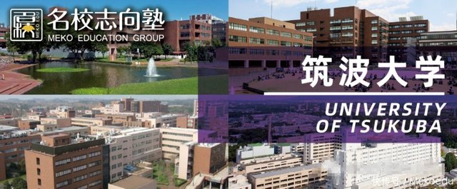 发现史上最小恐龙蛋 揭秘筑波大学 快资讯