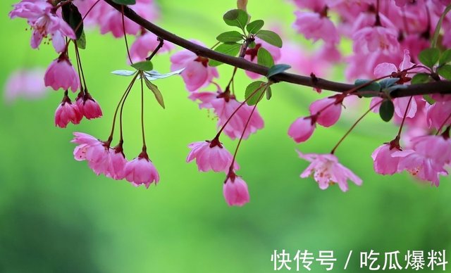 十三首名将诗词 经年尘土满征衣 江花边草笑平生 快资讯 十三首名将诗词 经年尘土满征衣 江花边草笑平生 快资讯