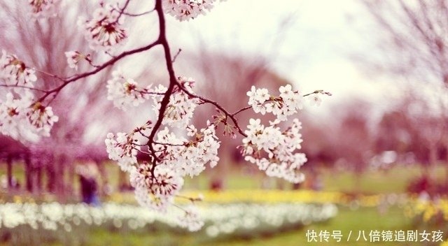 下周 丘比特青睐 桃花缠绵 将牵手百年姻缘的4个星座 快资讯 下周 丘比特青睐 桃花缠绵 将牵手百年姻缘的4个星座 快资讯