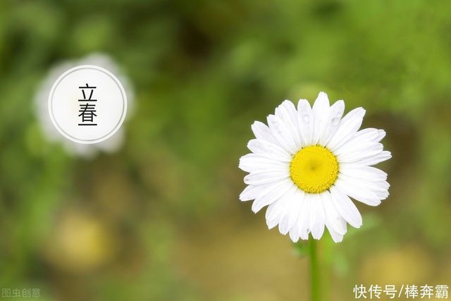 立春将至 农村俗语 雨淋春牛头 七七四十九天愁 下雨不好 快资讯