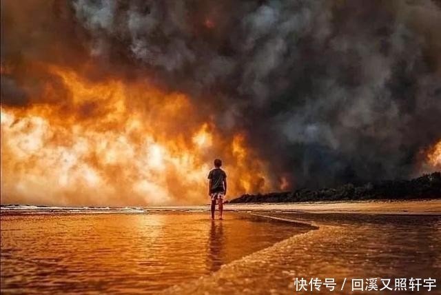 因澳洲森林大火损失的动物可能超过10亿 地球气候或将受影响 快资讯