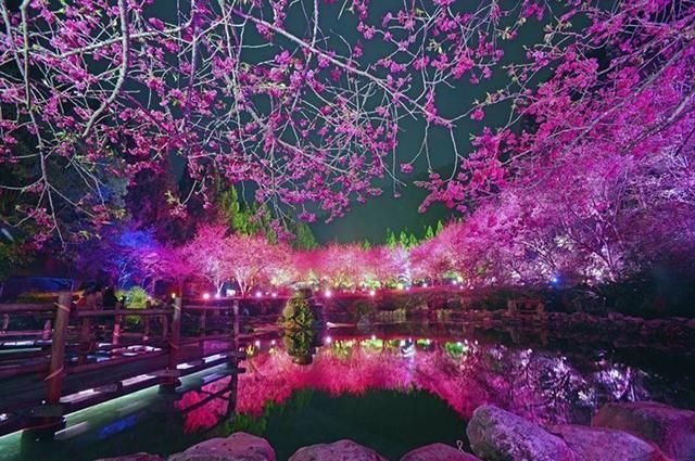 台湾日月潭春季赏樱 快资讯