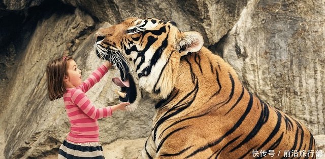 蛇叫长虫 老虎叫大虫 人是什么虫原来我们都是虫子 快资讯