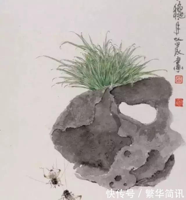 菖蒲 此为寿品 玩者珍惜 太养眼 快资讯