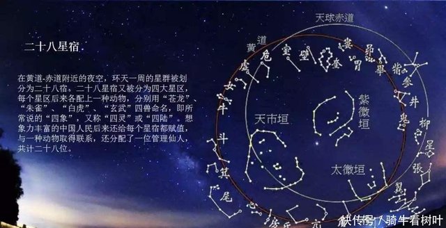 青龙白虎朱雀玄武四神兽 到底谁才是真正的老大 您知道吗 快资讯