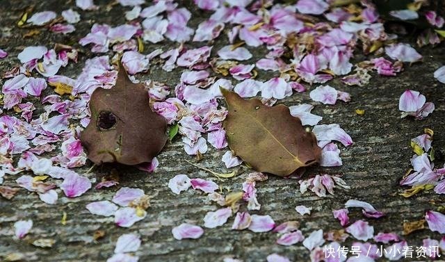 李煜词读林花谢了春红 太匆匆 快资讯
