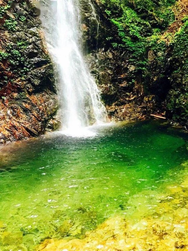 日本东京秘境邂逅之森 小村落桧原村旅行攻略 快资讯