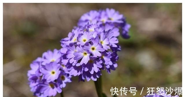 6月10日 日星座运势 双子座展现才华 射手座魅力十足 快资讯 6月10日 日星座运势 双子座展现才华 射手座魅力十足 快资讯
