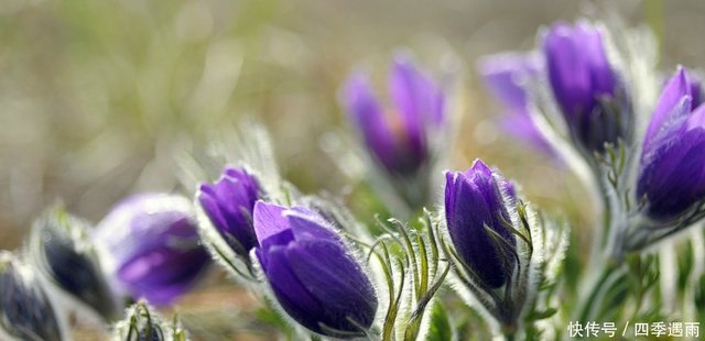 唐代刘禹锡 八月十五夜桃源玩月 古诗欣赏及解析涨知识 快资讯 唐代刘禹锡 八月十五夜桃源玩月 古诗欣赏及解析涨知识 快资讯