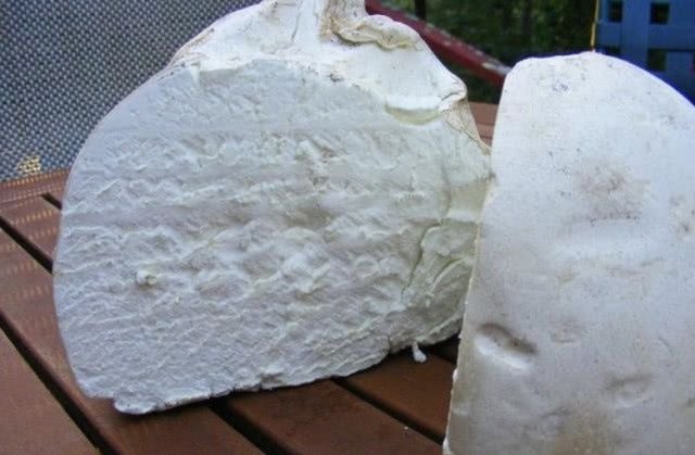 很少见的蘑菇 马勃菇 巨型白地菇都是它 这大蘑菇你吃过吗 快资讯