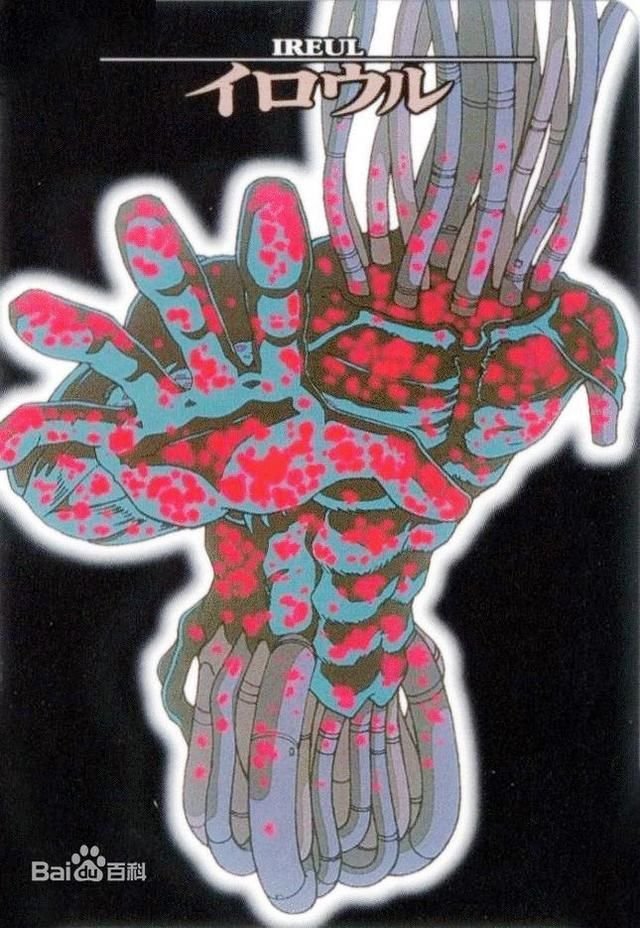 新世纪福音战士eva 使徒 快资讯