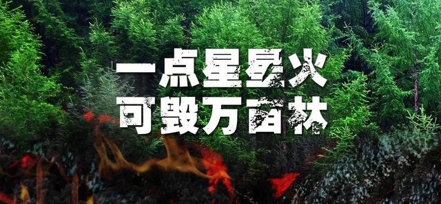 副市长徐弟波赴叙永县督导森林防灭火工作 快资讯