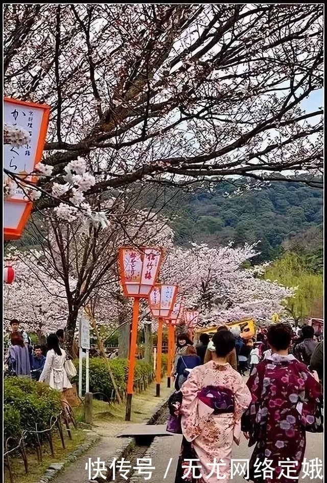 为什么樱花是日本的国花和国家的象征 快资讯