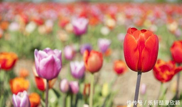 2月25号起 鸿运附身 财星高照 富贵源源 幸福美满的三星座 快资讯