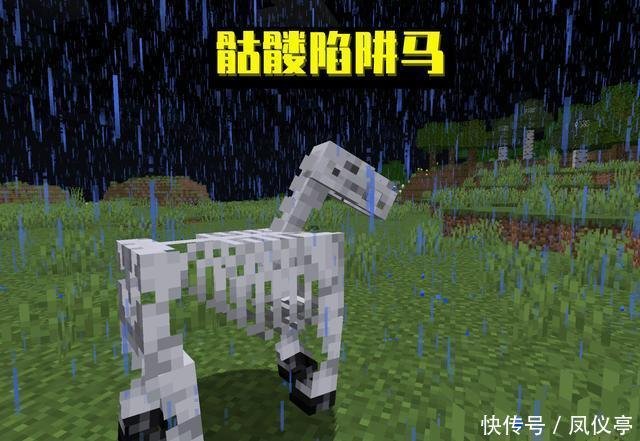 骷髅马 水下坐骑 我的世界 关于骷髅马 你可能不知道的16件事 快资讯 骷髅马 水下坐骑 我的世界 关于骷髅马 你可能不知道的16件事 快资讯