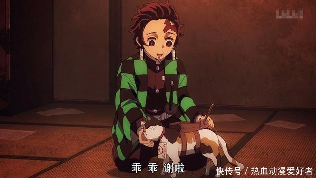 浅析 鬼灭之刃 珠世为何将自己养的猫转化成鬼 快资讯