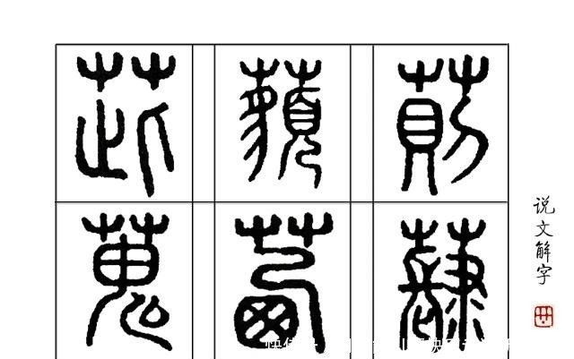 说文解字 第61课 最早的 中国红 是由这种草染出来的 快资讯 说文解字 第61课 最早的 中国红 是由这种草染出来的 快资讯