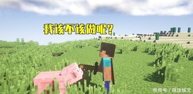 玩了这么长时间的minecraft 什么事情最让你愧疚 快资讯