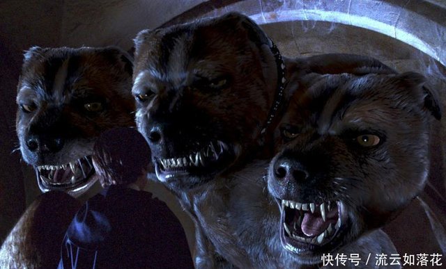 从 哈利波特 的三头犬 聊一聊国外神话中的各种三头怪物或神兽 快资讯