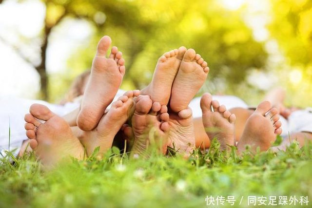 高弓足是什么 高弓足的危害有哪些 一篇文章带你了解高弓足 快资讯