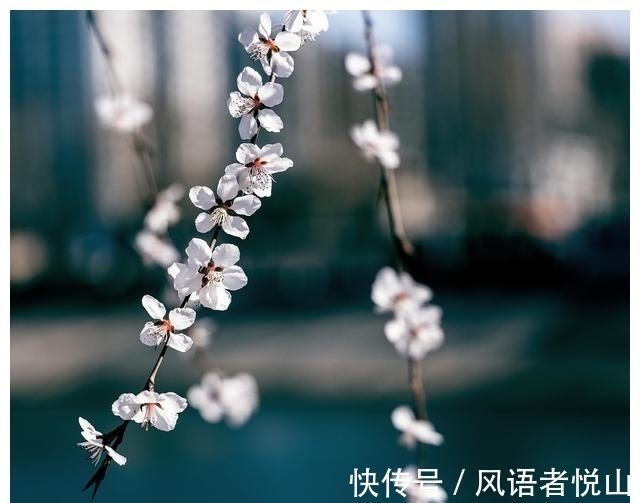 未来10天 曲终人散 不再留恋 支离破碎 心已死 趁早远离 快资讯