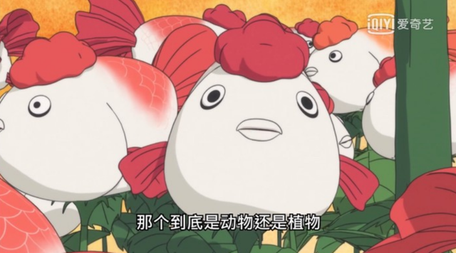 鬼灯的冷彻 里最诡异的 金鱼草 原型枯萎后很吓人 快资讯 鬼灯的冷彻 里最诡异的 金鱼草 原型枯萎后很吓人 快资讯