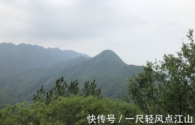 什么是坟鸟守坟 老话说 坟鸟一出 子孙必富 是啥意思 快资讯