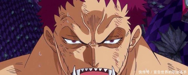 海贼王新世界中 自然系果实落寞 超人系动物系地位上升 快资讯