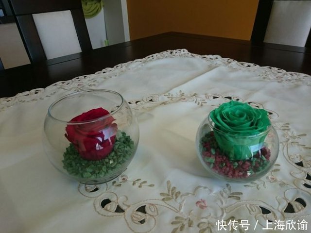 冻干永生花的制作方法 快资讯 冻干永生花的制作方法 快资讯