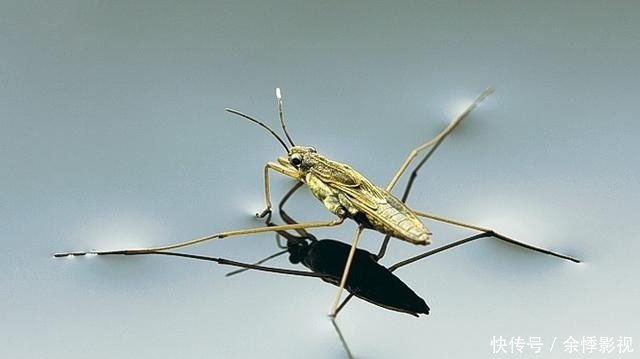 什么是引力辐射 它和电磁辐射有什么关系 快资讯