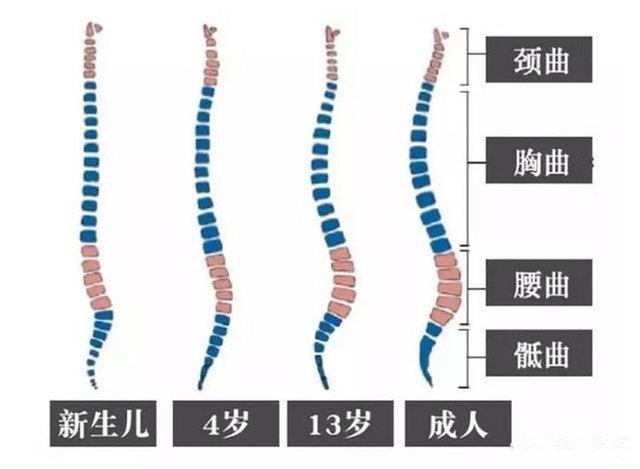 宝宝几个月独坐 坐的越早 代表宝宝越健康吗 快资讯