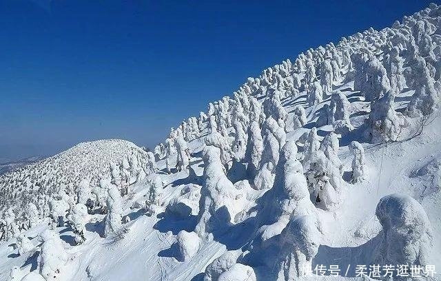 李长声 高仓健拉练 快资讯
