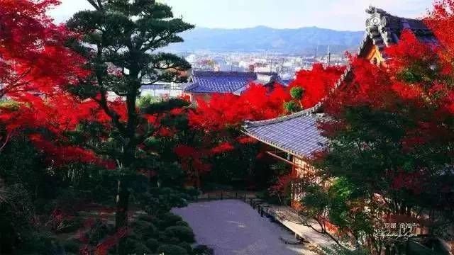 经典案例 日本十大最美枯山水庭院 快资讯