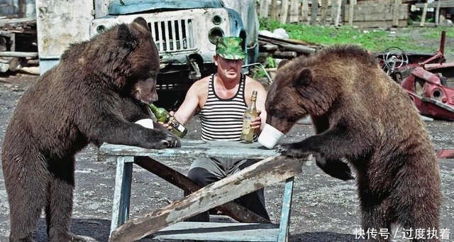 毛熊之国 大部分俄罗斯人认为熊是祖国最合适象征 快资讯 毛熊之国 大部分俄罗斯人认为熊是祖国最合适象征 快资讯