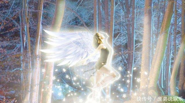12星座专属 天使之翼 白羊座纯净天使羽翼 双子座梦幻翅膀 快资讯
