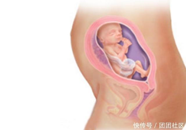 怀孕23周 孕妈如果能听到胎儿这个 孕妇放心胎儿发育很好 快资讯
