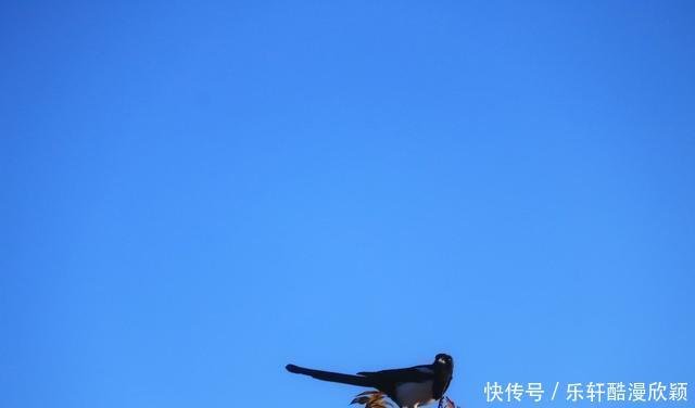 2月25号起 鸿运附身 财星高照 富贵源源 幸福美满的三星座 快资讯