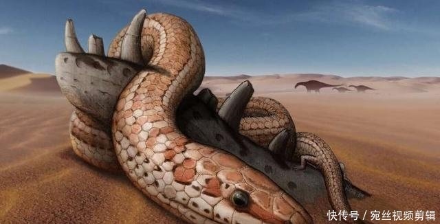 7千万年的时间里蛇有后肢 新化石显示 蛇的祖先与巨蜥很相似 快资讯