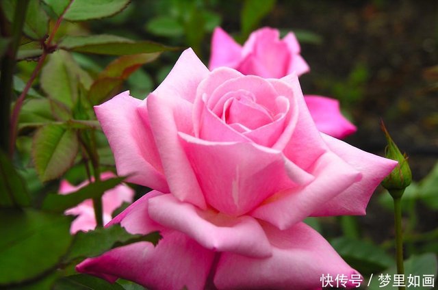 4月22日星座运势锲而不舍 激流勇进的四大星座 快资讯 4月22日星座运势锲而不舍 激流勇进的四大星座 快资讯