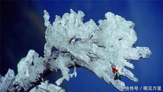 冬日胜景说雾凇 寒江雪柳 玉树琼花 快资讯 冬日胜景说雾凇 寒江雪柳 玉树琼花 快资讯
