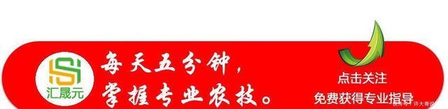 为什么说 桃养人 杏伤人 李子树下埋死人 现在算是明白了 快资讯 为什么说 桃养人 杏伤人 李子树下埋死人 现在算是明白了 快资讯