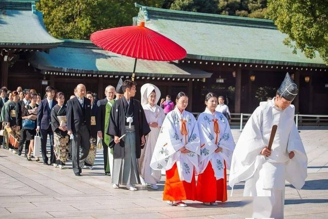 日本传统的神前式婚礼 快资讯