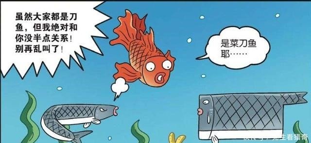 爆笑校园秋刀鱼的兄弟是 菜刀鱼 么么的办案智商感人 快资讯