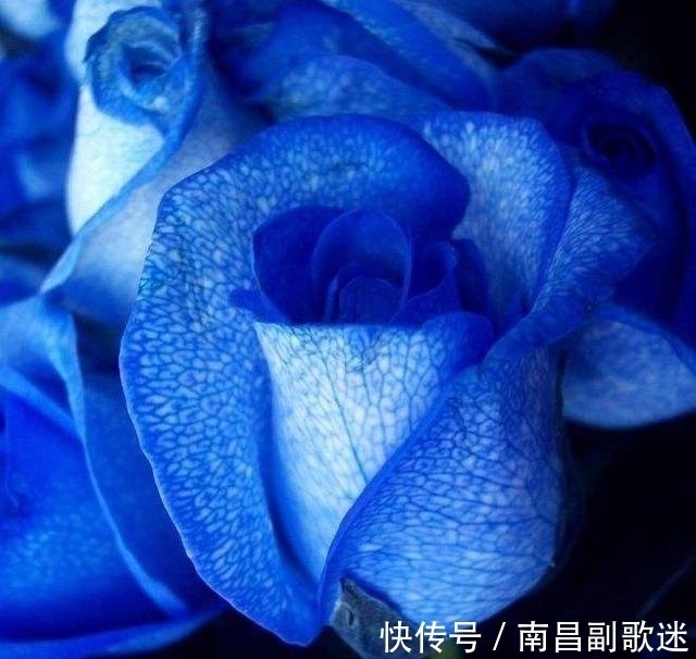 7月26日星座运势 金牛甜言蜜语 天蝎沟通顺畅 快资讯