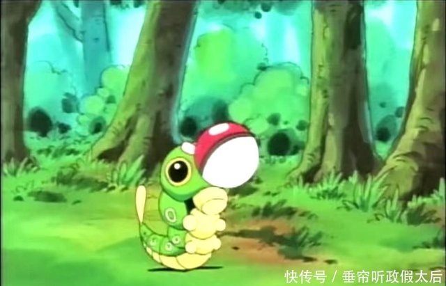 神奇宝贝 小智的巴大蝴离开的太早 否则动漫中这套配招磨疯对手 快资讯