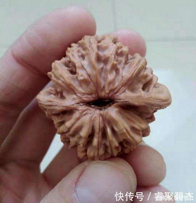100种文玩核桃品种分享之43虎头王- 快资讯